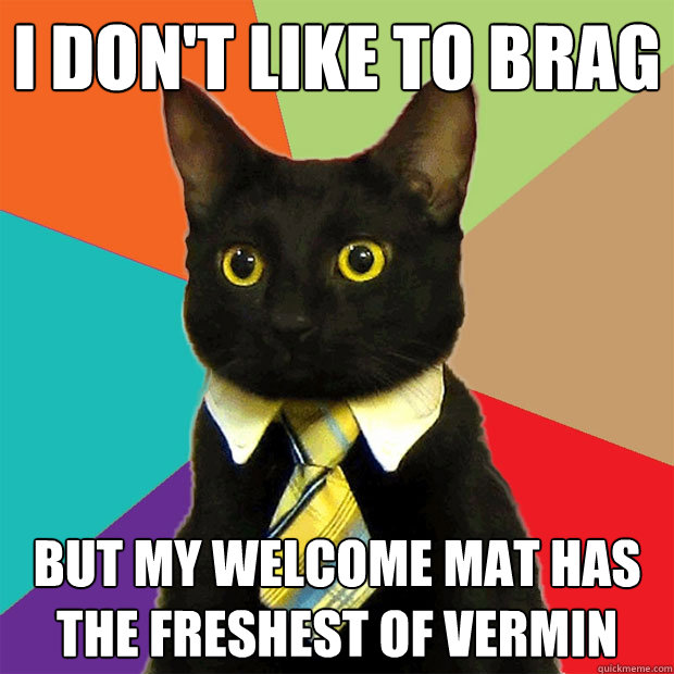 i don't like to brag but my welcome mat has the freshest of vermin  Business Cat