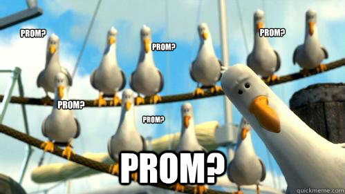 Prom? Prom? Prom? Prom? Prom? Prom?  Finding Nemo Seagulls