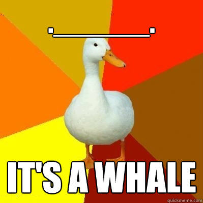 .______. it's a whale  Tech Impaired Duck