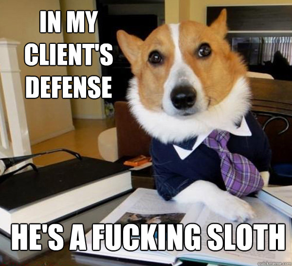 In my client's defense He's a fucking Sloth  Lawyer Dog