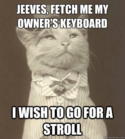 Jeeves, fetch me my owner's keyboard I wish to go for a stroll  Aristocat