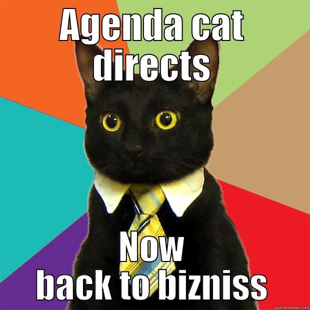 back to  - AGENDA CAT DIRECTS NOW BACK TO BIZNISS Business Cat