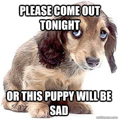 Please come out tonight Or this Puppy will be sad  