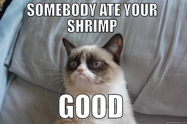 SOMEBODY ATE YOUR SHRIMP GOOD Grumpy Cat