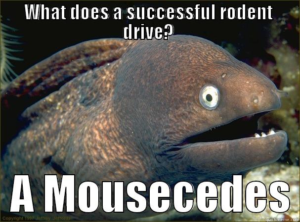 WHAT DOES A SUCCESSFUL RODENT DRIVE?   A MOUSECEDES Bad Joke Eel