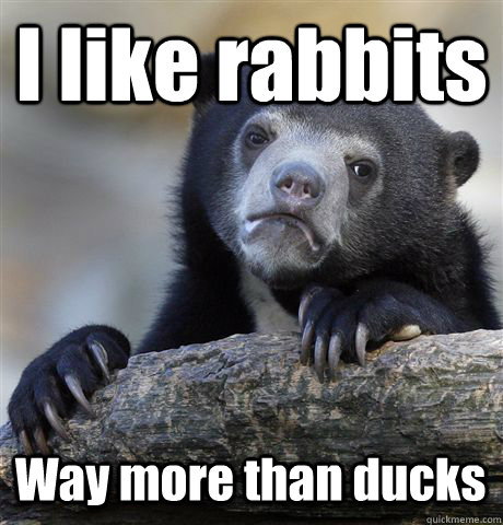 I like rabbits  Way more than ducks  Confession Bear