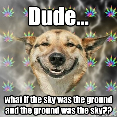 Dude... what if the sky was the ground and the ground was the sky??  Stoner Dog