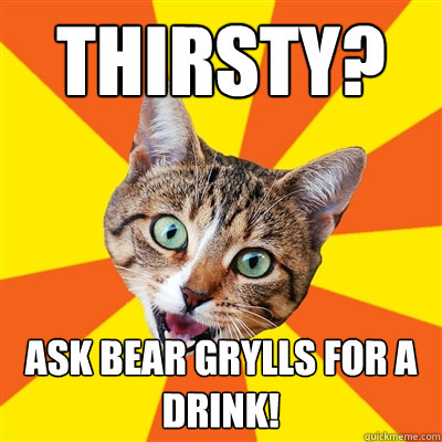 Thirsty? Ask Bear Grylls for a drink!  Bad Advice Cat