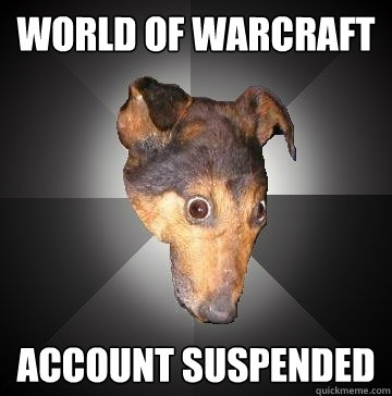 WORLD OF WARCRAFT ACCOUNT SUSPENDED  Depression Dog