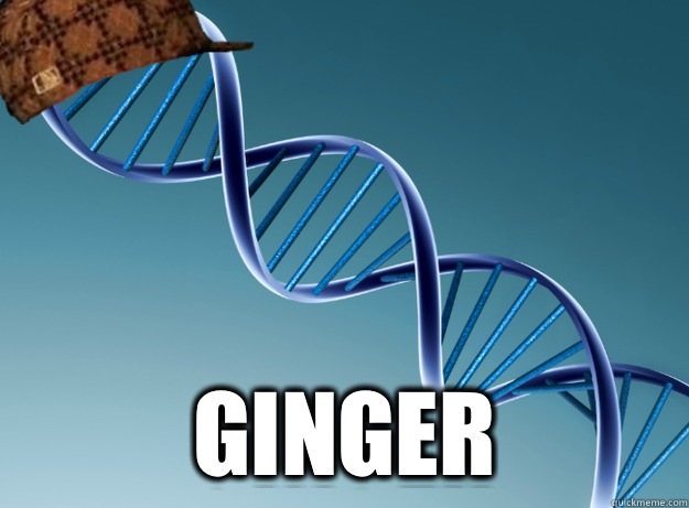  Ginger -  Ginger  Scumbag Genetics