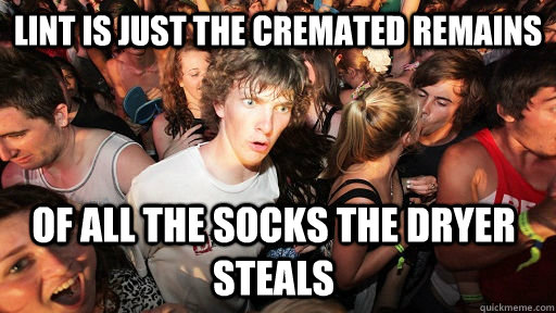 Lint is just the cremated remains of all the socks the dryer steals  Sudden Clarity Clarence