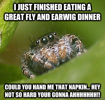 I just finished eating a great fly and earwig dinner Could you hand me that napkin... hey not so hard your gonna ahhhhhhh!! - I just finished eating a great fly and earwig dinner Could you hand me that napkin... hey not so hard your gonna ahhhhhhh!!  Misunderstood Spider