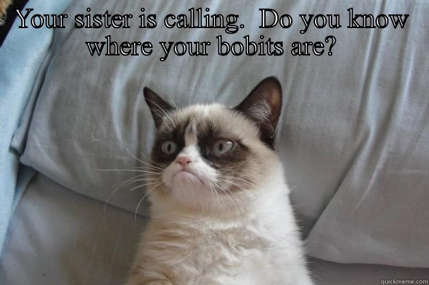 YOUR SISTER IS CALLING.  DO YOU KNOW WHERE YOUR BOBITS ARE?  Grumpy Cat