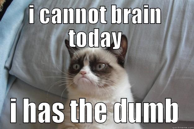 grumpy dumby - I CANNOT BRAIN TODAY I HAS THE DUMB Grumpy Cat