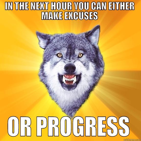 IN THE NEXT HOUR YOU CAN EITHER MAKE EXCUSES OR PROGRESS Courage Wolf