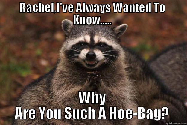 Pure Evil... - RACHEL,I'VE ALWAYS WANTED TO KNOW..... WHY ARE YOU SUCH A HOE-BAG? Evil Plotting Raccoon