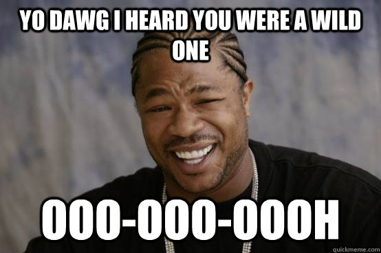 Yo Dawg i heard you were a wild one ooo-ooo-oooh  YO DAWG