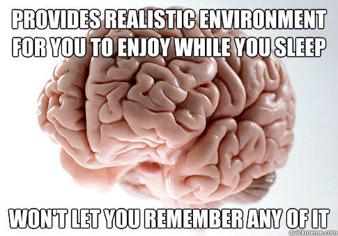 Provides realistic environment for you to enjoy while you sleep won't let you remember any of it  Scumbag Brain