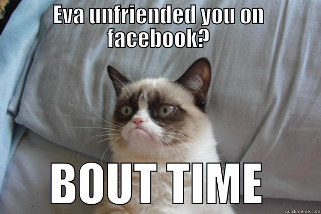 EVA UNFRIENDED YOU ON FACEBOOK? BOUT TIME Grumpy Cat