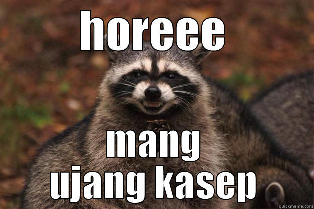 HOREEE MANG UJANG KASEP Evil Plotting Raccoon