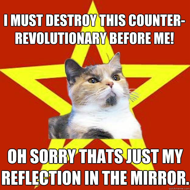 I must destroy this counter-revolutionary before me! oh sorry thats just my reflection in the mirror.  Lenin Cat