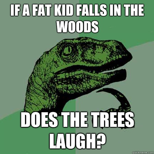 If a fat kid falls in the woods Does the trees laugh? - If a fat kid falls in the woods Does the trees laugh?  Philosoraptor