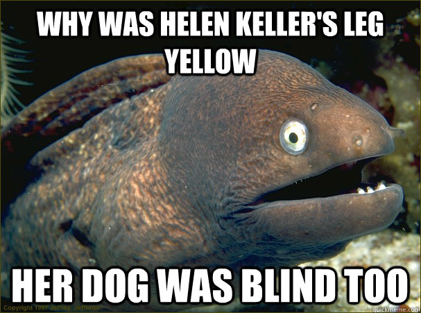 Why was Helen Keller's leg yellow Her dog was blind too  Bad Joke Eel