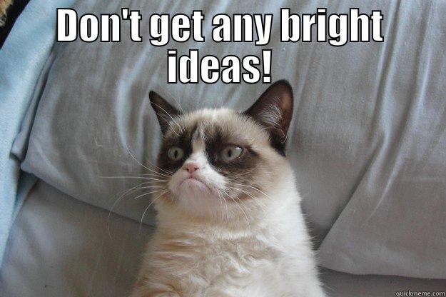 DON'T GET ANY BRIGHT IDEAS!  Grumpy Cat