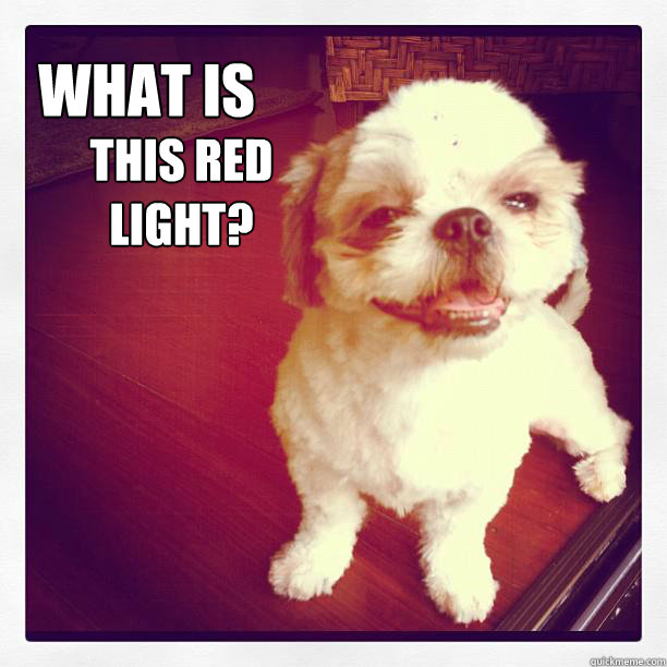 what is this red light? - what is this red light?  high dogs friend
