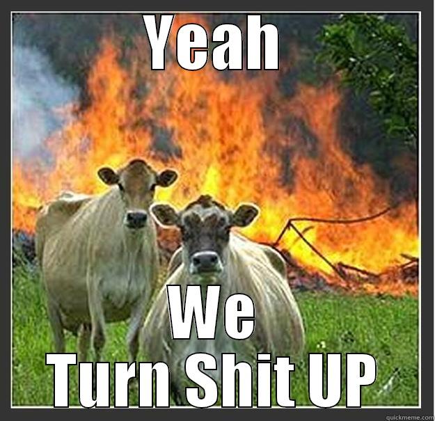 YEAH WE TURN SHIT UP Evil cows