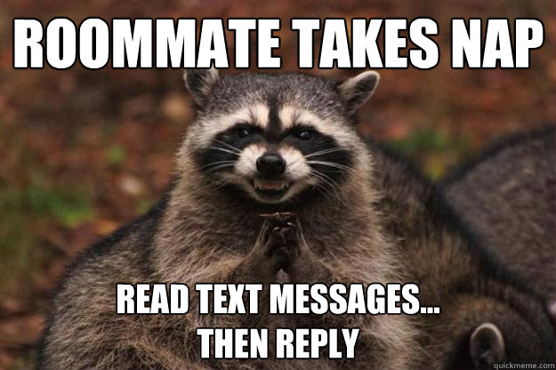 Roommate takes nap read text messages...
Then reply - Roommate takes nap read text messages...
Then reply  Evil Plotting Raccoon