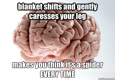 blanket shifts and gently caresses your leg makes you think it's a spider
EVERY TIME   Scumbag Brain