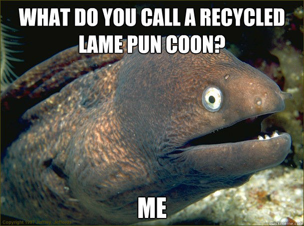 What do you call a recycled lame pun coon? Me  Bad Joke Eel