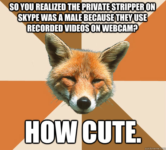 So you realized the private stripper on skype was a male because they use recorded videos on webcam? How cute.   Condescending Fox