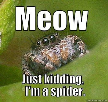 Meow JK - MEOW JUST KIDDING,   I'M A SPIDER. Misunderstood Spider