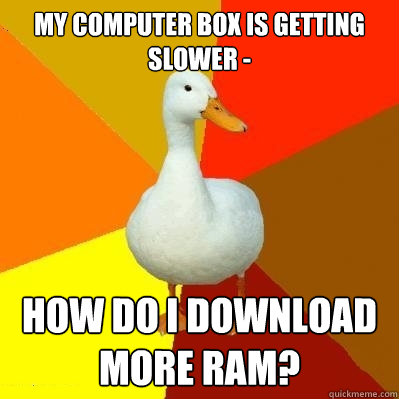 my computer box is getting slower -  how do i download more ram?  Tech Impaired Duck