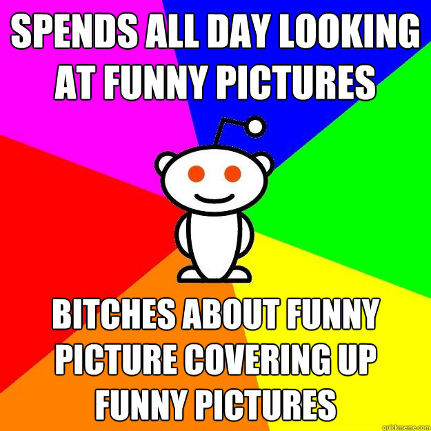 spends all day looking at funny pictures bitches about funny picture covering up funny pictures  Reddit Alien