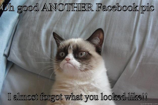 OH GOOD ANOTHER FACEBOOK PIC  I ALMOST FORGOT WHAT YOU LOOKED LIKE!! Grumpy Cat