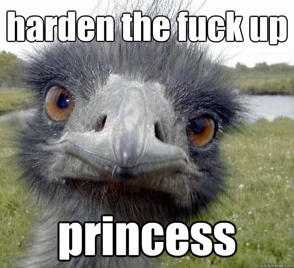 harden the fuck up princess - harden the fuck up princess  Htfu