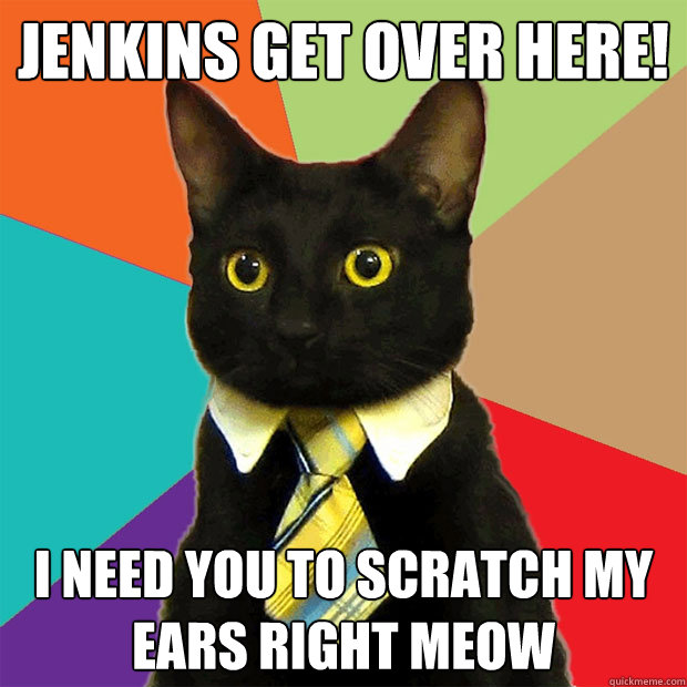 Jenkins get over here! I need you to scratch my ears right meow  Business Cat