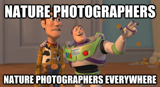 Nature Photographers Nature Photographers Everywhere  Toy Story Everywhere