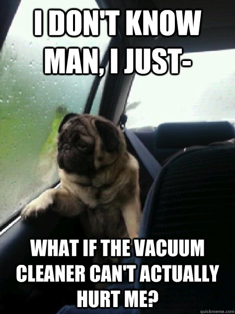 I don't know man, I just- What if the vacuum cleaner can't actually hurt me?  Introspective Pug