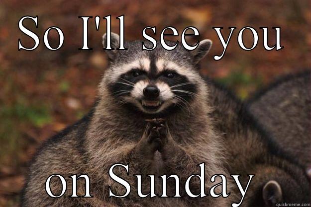 SO I'LL SEE YOU ON SUNDAY Evil Plotting Raccoon