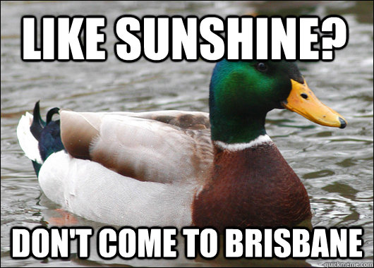 Like sunshine? Don't come to Brisbane - Like sunshine? Don't come to Brisbane  Actual Advice Mallard