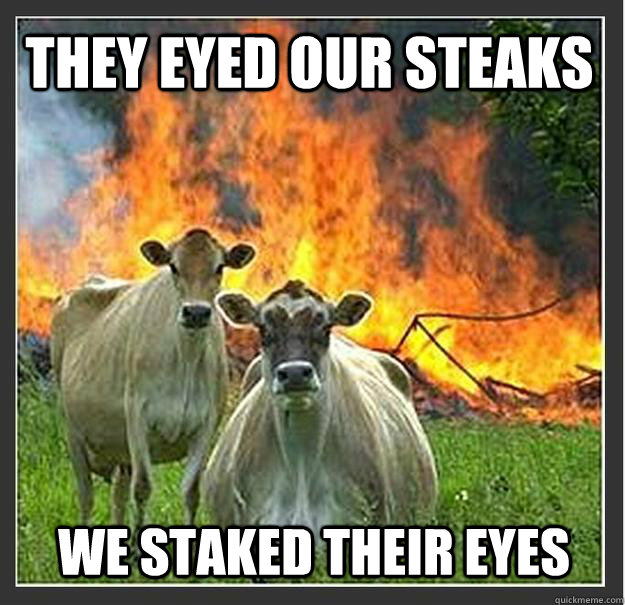 They eyed our steaks We staked their eyes  Evil cows