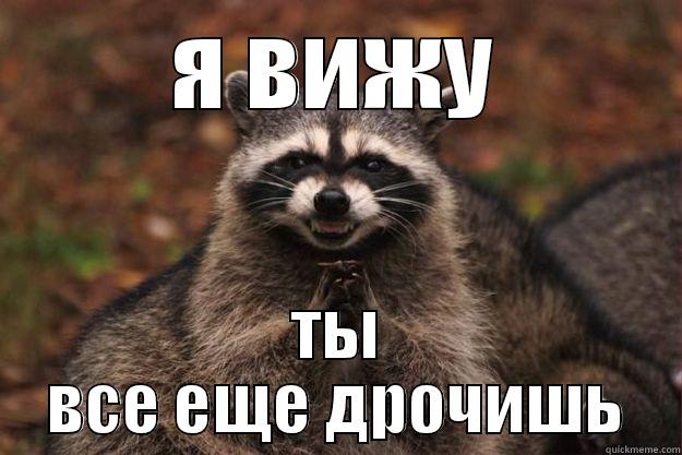 Я ВИЖУ ТЫ ВСЕ ЕЩЕ ДРОЧИШЬ Evil Plotting Raccoon