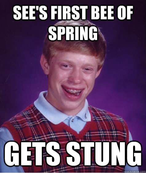 See's first bee of spring Gets stung  Bad Luck Brian