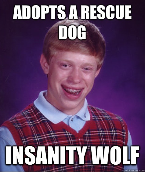 Adopts a rescue dog Insanity wolf  Bad Luck Brian