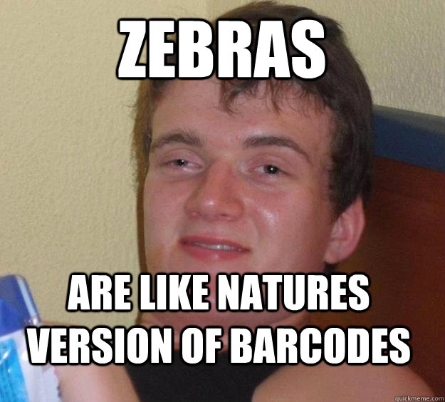 Zebras are like natures version of barcodes  - Zebras are like natures version of barcodes   10 Guy