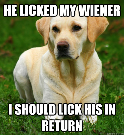 He licked my wiener i should lick his in return  Dog Logic